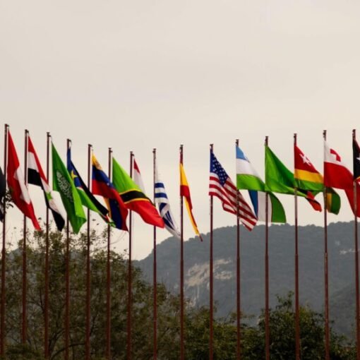 A row of international flags from multiple countries displayed on tall flagpoles outdoors, with trees and hills in the background beneath an overcast sky.