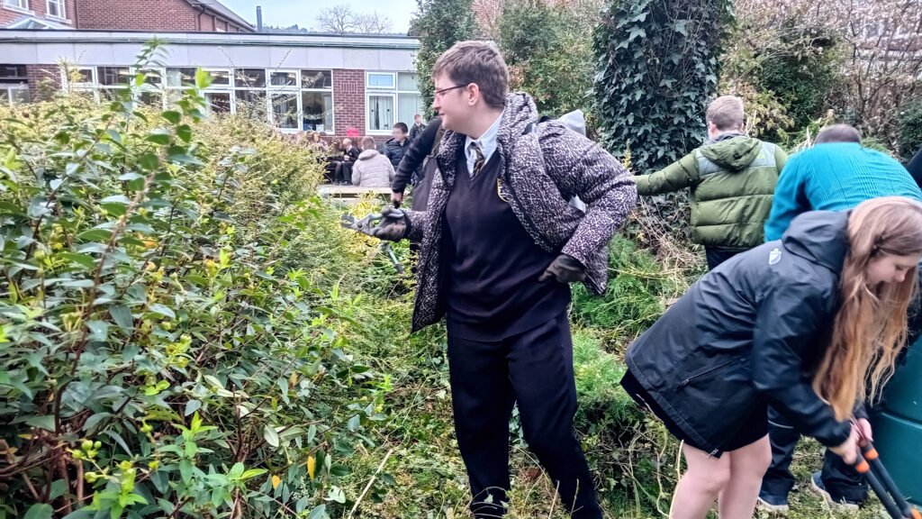 A photograph of students working on the School Garden Project in the Quad, circa November 2024