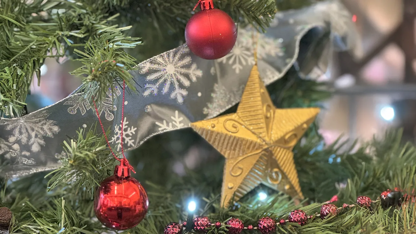 The Featured Image of the School Blog for 20/12/24