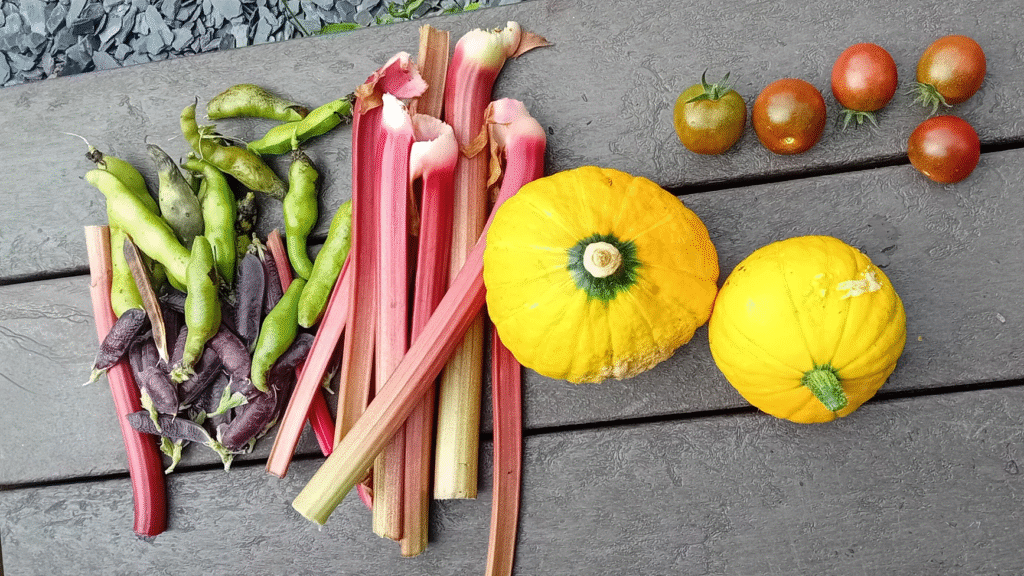 A photograph of more produce from the Garden Club, circa September 2025