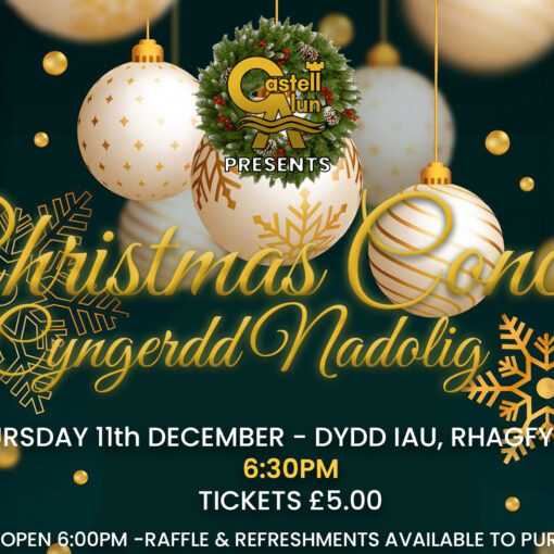 A promotional image for our annual Christmas Concert