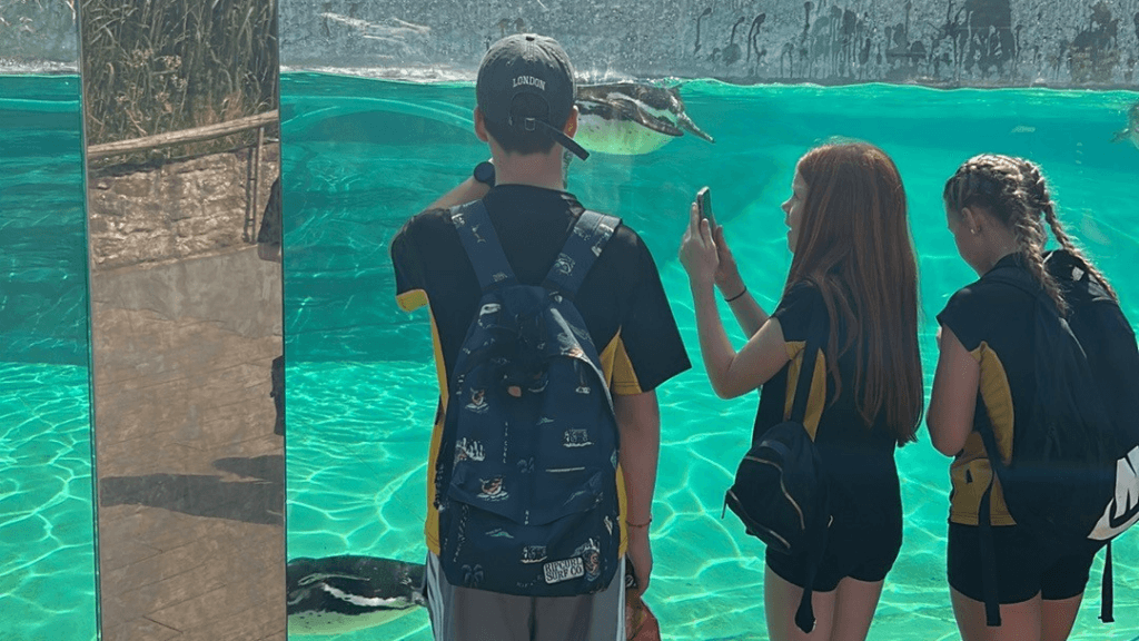 Three students in black and yellow sports uniforms stand beside a large glass viewing panel at an aquatic exhibit, watching penguins swimming underwater in a bright turquoise pool. One student is holding up a mobile phone to take a photograph, while several penguins are visible beneath and just above the water's surface. The exhibit is brightly lit by sunlight, highlighting ripples in the water and reflections on the glass.